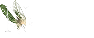 Nail salon Napulua